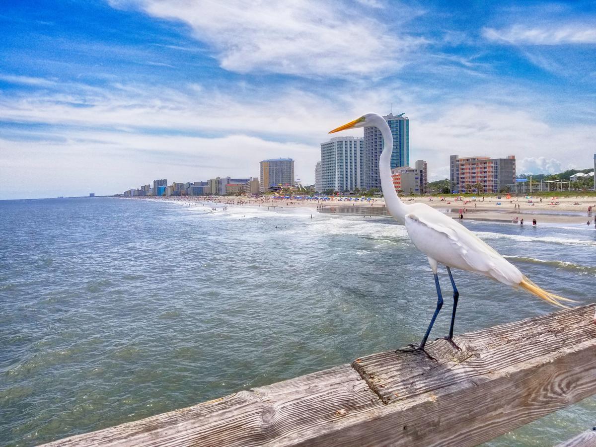 New Amazing Corneramazing Views Honeymoon Suite! Myrtle Beach Exterior foto